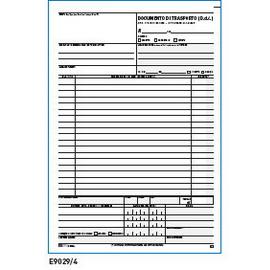 DDT SNAP 3 COPIE AUTORIC. 100FG 31x20,5CM E9029/3