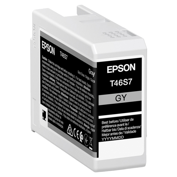 Epson Cartuccia Grigio scuro UltraChrome Pro 10 ink 25ml