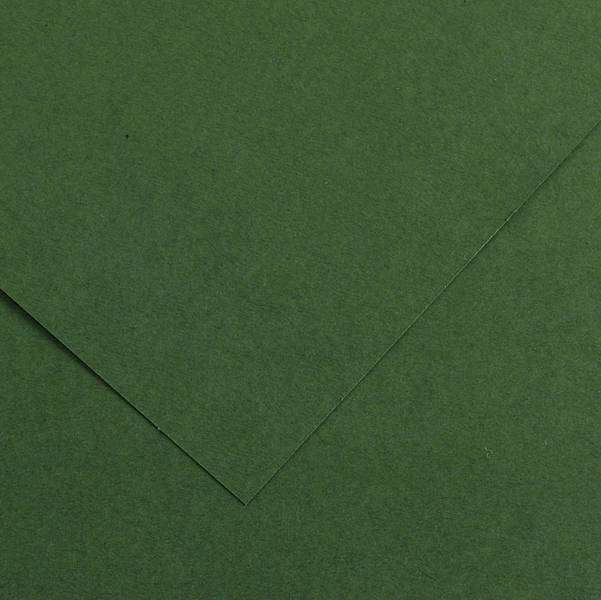 Foglio COLORLINE 70x100 cm 220 gr. 31 Verde abete