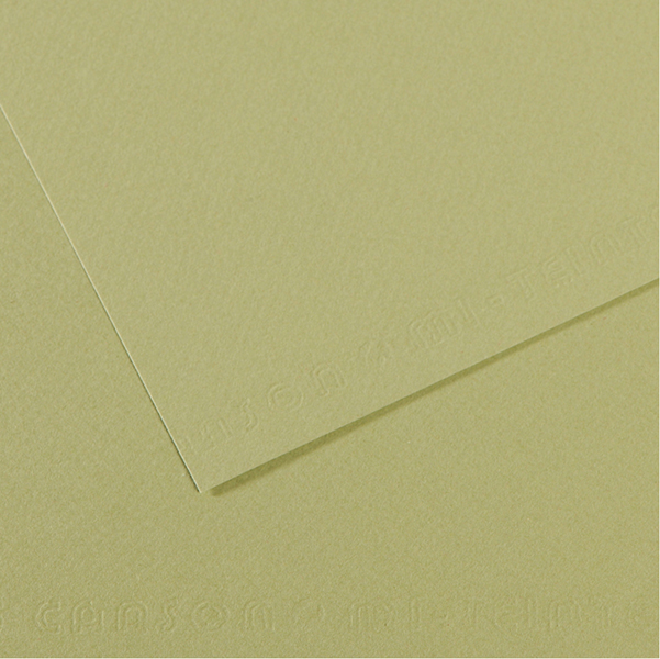 Foglio MI-TEINTES A4 160 gr. 480 verde mandorla