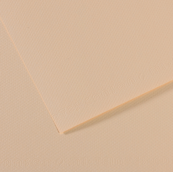 Foglio MI-TEINTES A4 cm 160 gr. 112 conchiglia (Delist