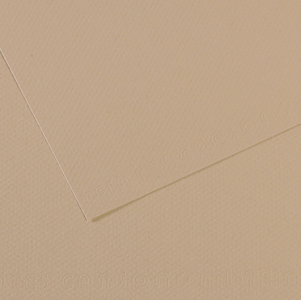 Foglio MI-TEINTES A4 cm 160 gr. 343 grigio trianon