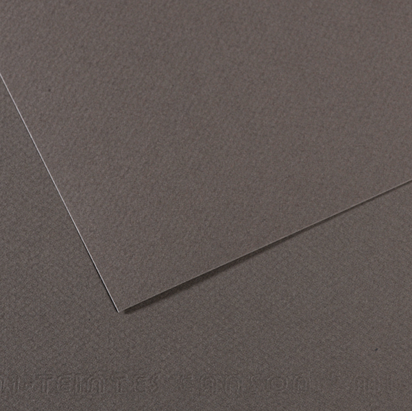 Foglio MI-TEINTES A4 cm 160 gr. 345 grigio ardesia