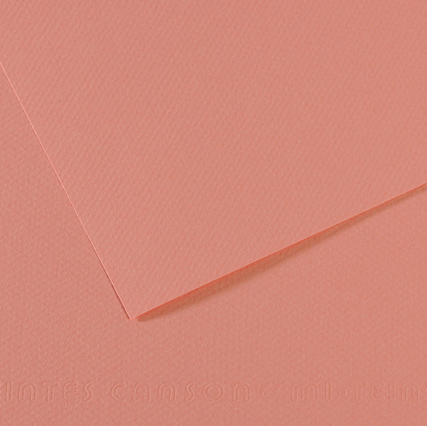 Foglio MI-TEINTES A4 cm 160 gr. 352 rosa scuro