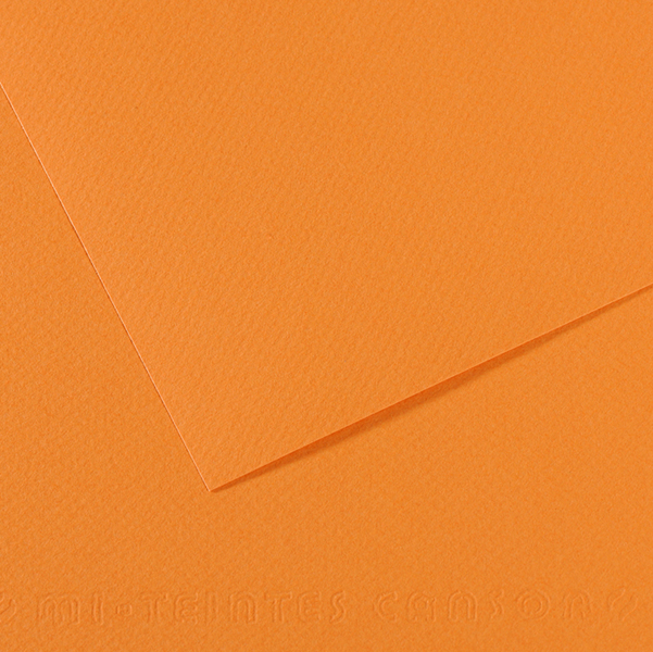 Foglio MI-TEINTES A4 cm 160 gr. 384 salmone