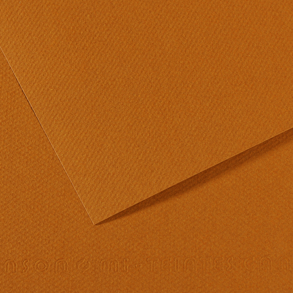Foglio MI-TEINTES A4 cm 160 gr. 502 avana chiaro (Delist