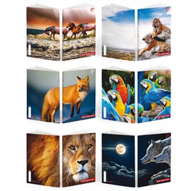 Maxiquaderno A4 36fg+2 100gr 4mm c/margine WILD Be More BM