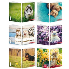Maxiquaderno A4 36fg+2 100gr 5mm c/margine BABY Be More 2024 BM