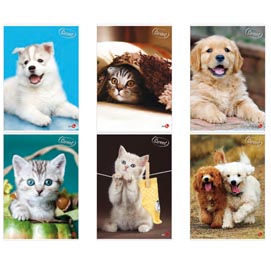 Maxiquaderno A4 40FG+2 80gr 4mm Cute 2024 BM