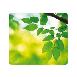 MOUSEPAD FOGLIE ecologici Earth Series Fellowes
