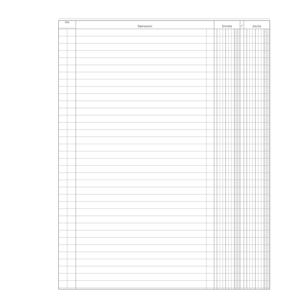 Registro Entrate-Uscite 100pag. 31x24,5cm DU135800000 Data Ufficio