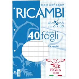 RICAMBI FORATI A4 5MM QUAXIMA 40FG 80GR PIGNA