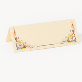 SCATOLA 100 SEGNAPOSTI DOPPI 105x37-75mm Linea FLORENTIA KARTOS