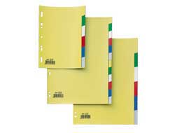 SEPARATORE 12 TASTI COLORATI 21X29,7 PPL RECORD SA412N SEI