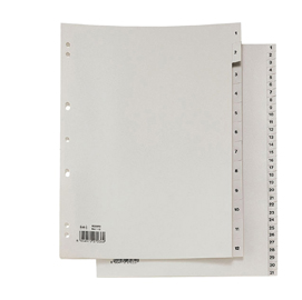 SEPARATORE NUMERICO 1-31 PPL 21X29,7 RECORD RA4 1-31 SEI