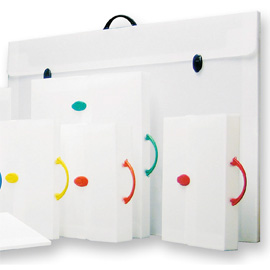 VALIGETTA POLIONDA 27X37,5 DORSO 8 (254-P)
