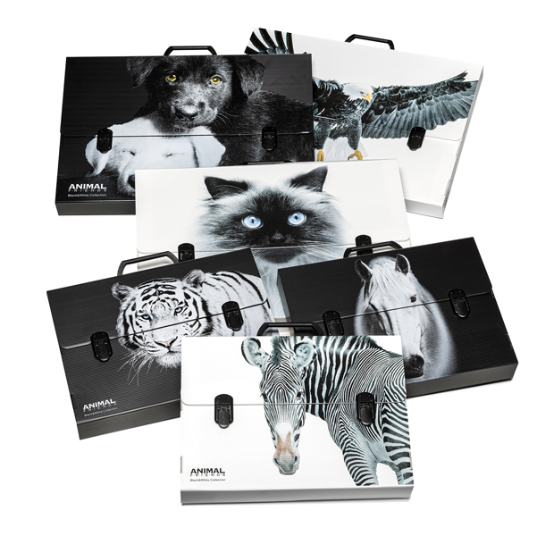 Valigetta polionda Animal Friends 28x38 dorso 5cm fantasie assortite Colorosa(de