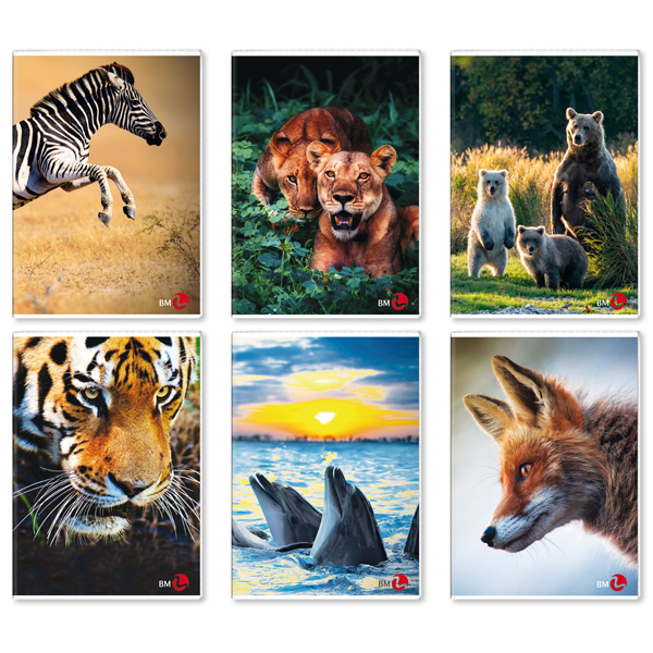 Maxiquaderno A4 40fg+2 80gr 1rigo c/margine Animal BM