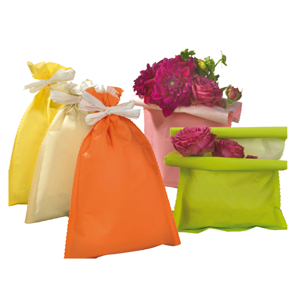 50 buste regalo in carta 45gr. 16x25cm 5 colori assortiti (delist