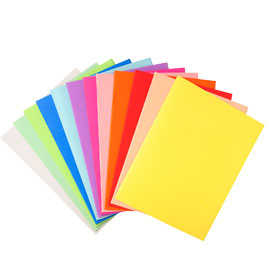 100 CARTELLINE SEMPLICI 220gr 24x32cm MIX 10 COLORI FOLDYNE