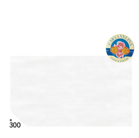 BUSTA 26fogli 50x70cm CARTA VELINA 20gr BIANCO Rex Sadoch