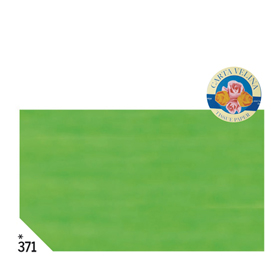 BUSTA 26fogli 50x70cm CARTA VELINA 20gr VERDE CHIARO Rex Sadoch