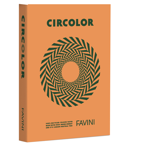 Carta Circolor A4 80gr 500fg Pumpkin H8 (arancio) FAVINI