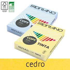 Carta Fabriano Colore A3 160gr 125fg col.tenui cedro