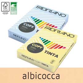 Carta Fabriano Colore A4 80GR 500FG COL.TENUE ALBICOCCA