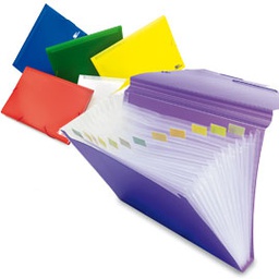 [72441] CARTELLA ESPANDIBILE 12 SCOMPARTI MY DESK cm. 33,5x25x3