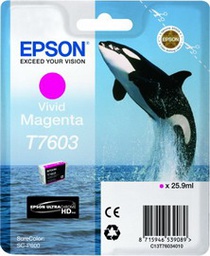 [EPST76034010] 'CARTUCCIA INCHIOSTRO A PIGM.MAGENTA T7603