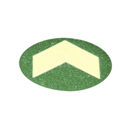 [98279] Bollo con freccia fotoluminescente adesiva D60mm colore giallo verde