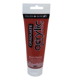 [85498] Colore acrilico fine Graduate tubo 120 ml terra Siena bruciata Daler Rowney
