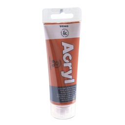 [73620] Colore Acryl fine tubo da 75ml siena bruciata 730 Primo