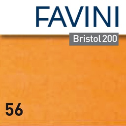 [79324] Conf.10 cartoncino Bristol Color 200gr 100x70cm arancio 56 Favini