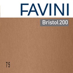 [81748] Conf.10 cartoncino Bristol Color 200gr 100x70cm marrone 75 Favini