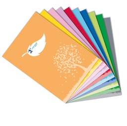 [93874] Coprimaxi Colorosa Green 21x30cm c/tasche blu RiPlast