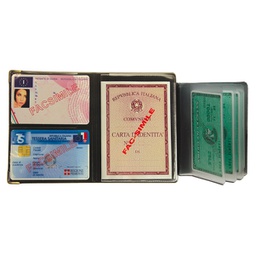 [94723] Display 24 Portadocumenti Multicard special colori assortiti 1060S Alplast