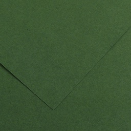 [85588] Foglio COLORLINE 70x100 cm 220 gr. 31 Verde abete