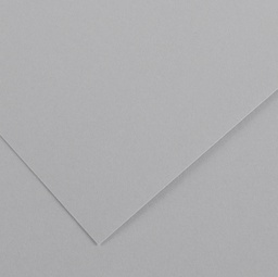 [85592] Foglio COLORLINE 70x100 cm 220 gr. 35 Grigio chiaro