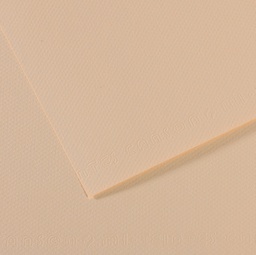 [92872] Foglio MI-TEINTES A4 cm 160 gr. 112 conchiglia