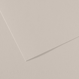 [92869] Foglio MI-TEINTES A4 cm 160 gr. 120 grigio perla