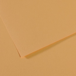 [92874] Foglio MI-TEINTES A4 cm 160 gr. 340 canapa chiara