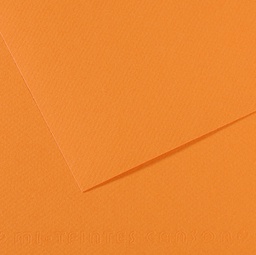 [92894] Foglio MI-TEINTES A4 cm 160 gr. 384 salmone