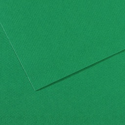 [92897] Foglio MI-TEINTES A4 cm 160 gr. 575 verde biliardo