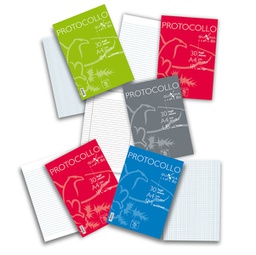 [93214] FOGLI PROTOCOLLO A4 QUAXIMA 4MM 30FG 80GR PIGNA