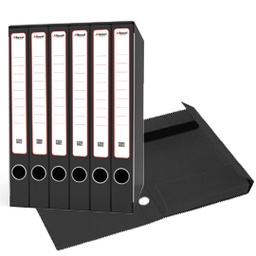 [79873] Gruppo raccoglitori Sestetto c/cartelle 25,5x34,5cm dorso 23cm Rexel