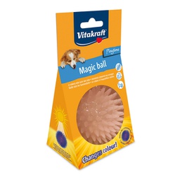 [92029] Magic ball per cani