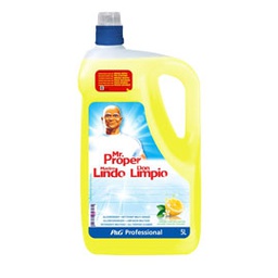 [70989] MASTRO LINDO PROFESSIONAL 5LT LIMONE
