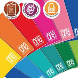 [59479] MAXIQUADERNO 210x297mm A4 20fg+1 80gr 2colonne ONE COLOR BLASETTI